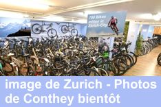 Bike-Auswahl