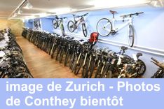 Mountainbike_kaufen
