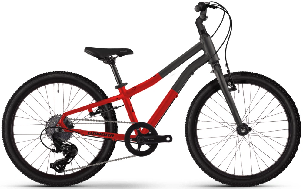 Winora Rage 20