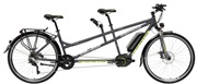GEPIDA Thoris XT 10S